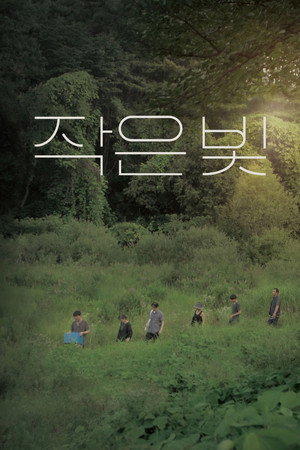 Poster for 작은 빛