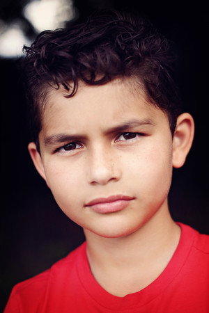 Cover image for Max Fox
