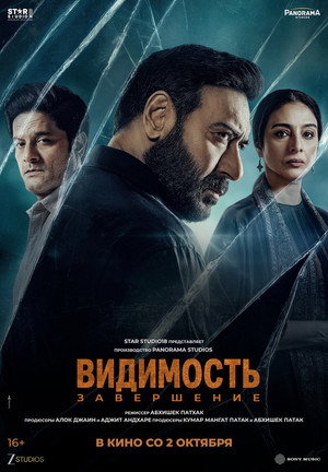 Poster for Видимость: Заключение