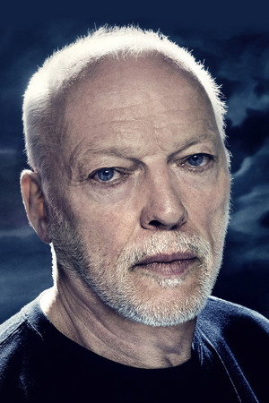 Cover image for David Gilmour