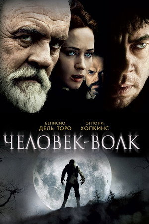 Poster for Человек-волк