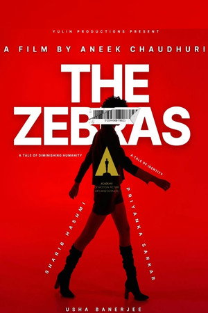 Poster for The Zebras: Dark Start
