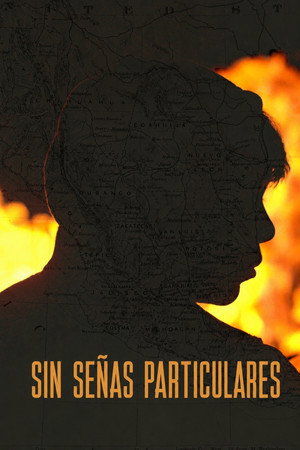 Poster for Без особых признаков