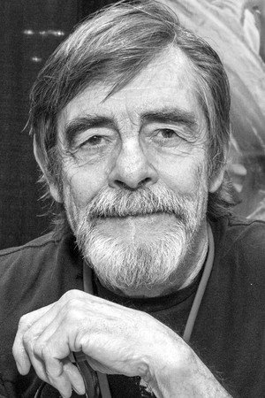Cover image for Дэвид Бэйли