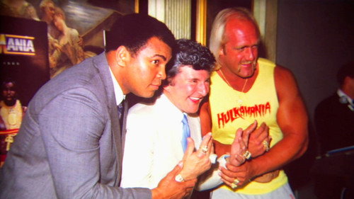 Backdrop for The True Story of WrestleMania