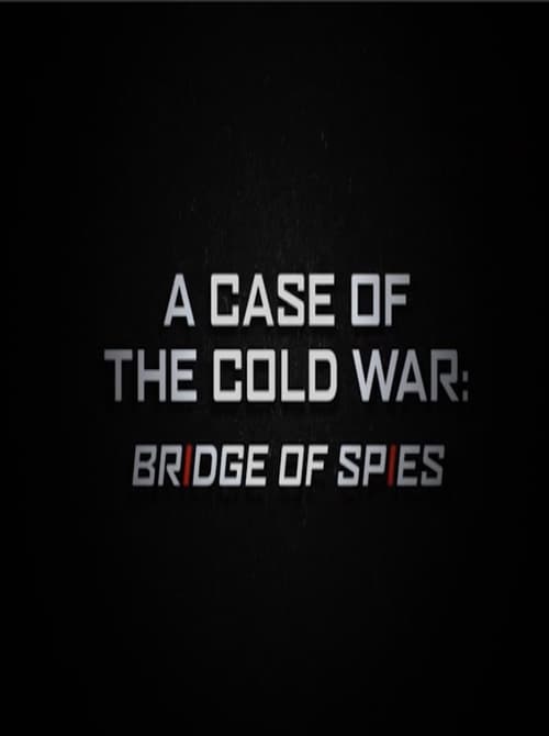 Poster for A Case of the Cold War: Bridge of Spies