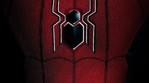 Backdrop for Spider-Man: All Roads Lead to No Way Home