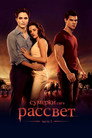 Poster for Сумерки. Сага. Рассвет: Часть 1