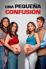 Poster for Una pequeña confusión