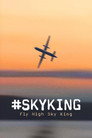 Poster for #SKYKING