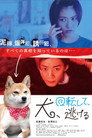 Poster for 犬、回転して、逃げる