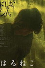 Poster for はるねこ