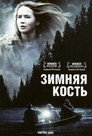 Poster for Зимняя кость