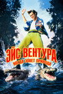 Poster for Эйс Вентура 2: Когда зовёт природа