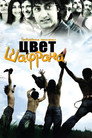 Poster for Цвет шафрана
