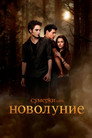 Poster for Сумерки. Сага. Новолуние