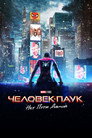 Poster for Человек-паук: Нет пути домой