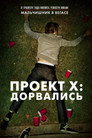 Poster for Проект X: Дорвались