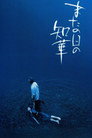 Poster for またの日の知華
